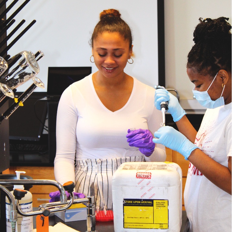 Two female students using pipettes to transfer samples in a chemistry lab during the 2021 Summer Research program