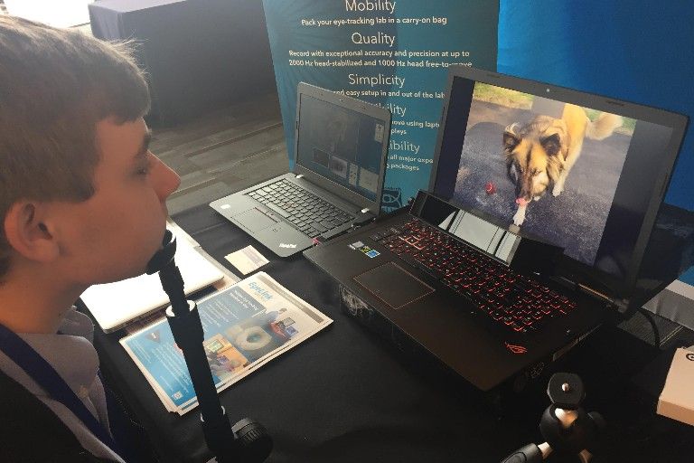 Student testing eye-tracking technology by watching a video of a dog on a computer 